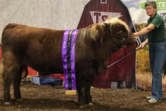 Barron-and-Sue-at-MI-UP-State-Fair