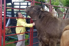 Capone-getting-brushed-by-Chris-and-Highland-Games